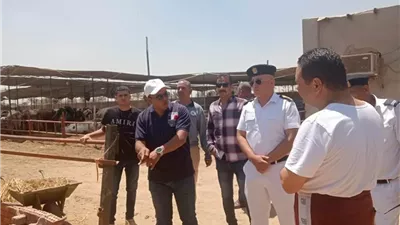 رئيس الجهاز: غلق 7 منشآت مخالفة بالعبور الجديدة
