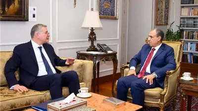 وزير الخارجية يبحث جذب الاستثمارات الأجنبية في قطاع الطاقة