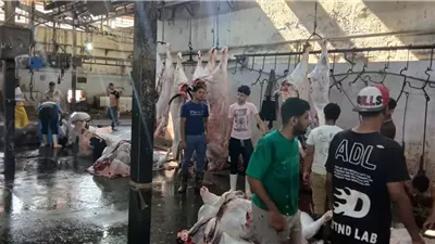 محافظ الجيزة: ذبح 4300 أضحية داخل المجازر الحكومية