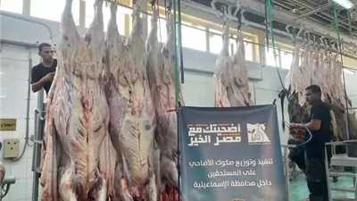 استمرار توزيع لحوم الأضاحي على المستحقين بالإسماعيلية
