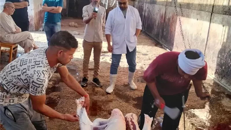 بوابة الجمهورية