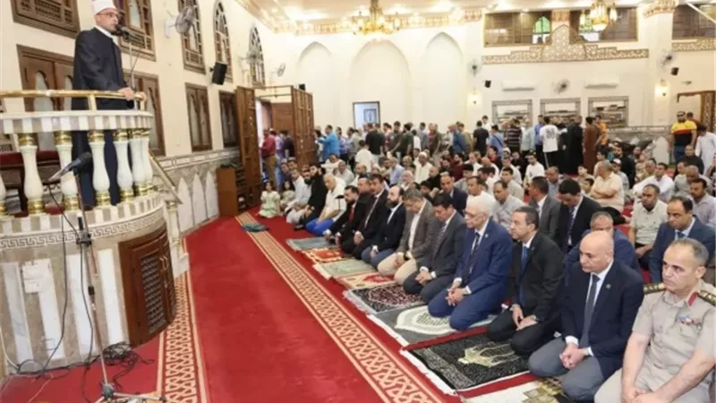 أرشيفية