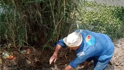 إصلاح خطوط مياه الشرب وعودة الخدمة في قصاصين الإسماعيلية