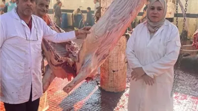 الزراعة: ذبح 35,514 أضحية بالمجازر الحكومية مجاناً للمواطنين