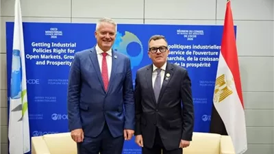وزير التخطيط يبحث مع OECD تعزيز النمو وجذب الاستثمارات الخاصة
