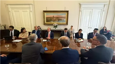 وزير المالية: أداء الاقتصاد المصرى جيد.. وسنحقق مستهدفاتنا رغم التحديات العالمية