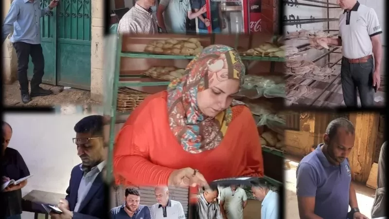 تموين القليوبية