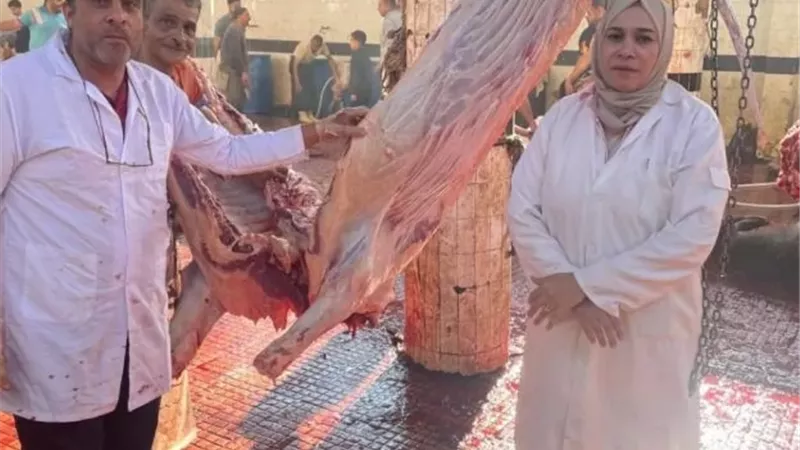 بوابة الجمهورية