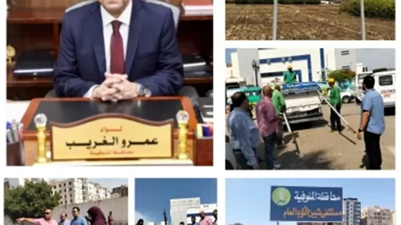 مشروعات تنموية علي