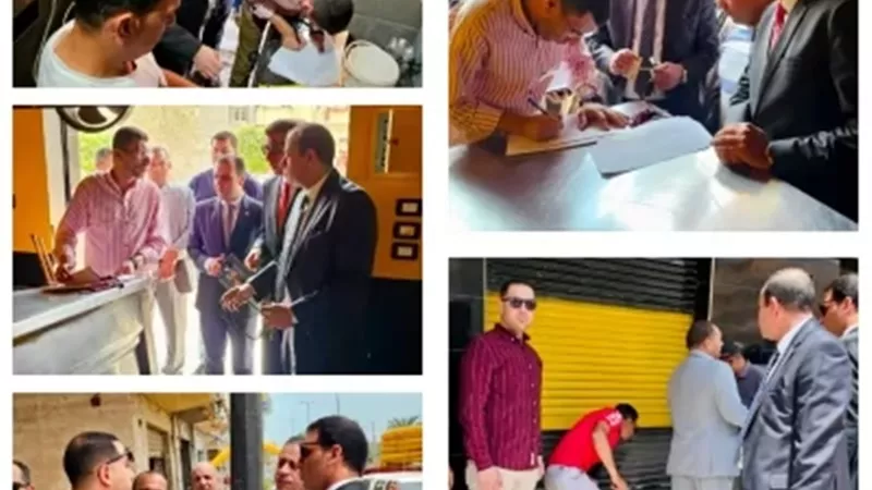النيابة الإدارية