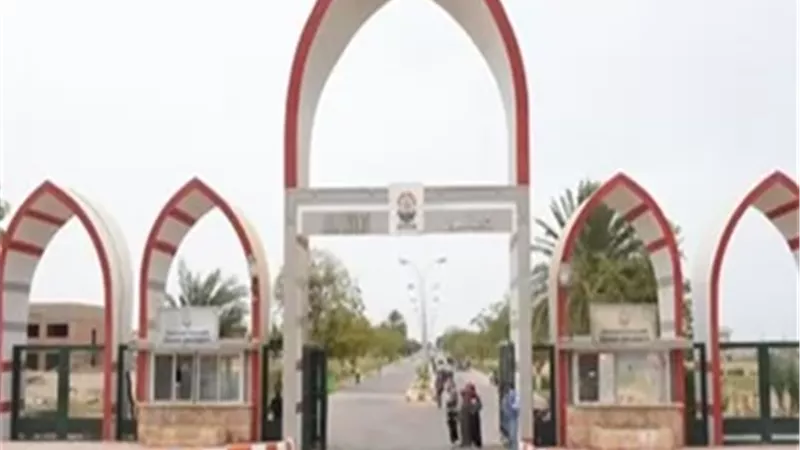 جامعة أسوان