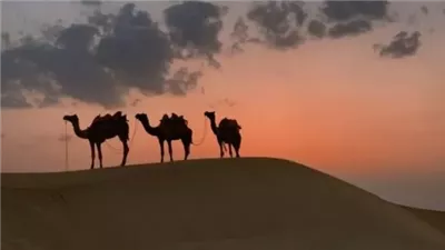 أعمال يفتح الله بتركها أبواب الخير مع قرب العام الهجري 1448