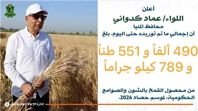 تخطي مستهدف توريد القمح بالمنيا بنسبة 15%واستلام أكثر من 490 ألف