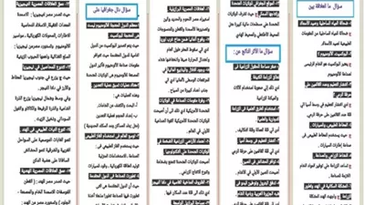 اسئلة متنوعة.. مراجعة شاملة في الدراسات للشهادة الإعدادية 2026