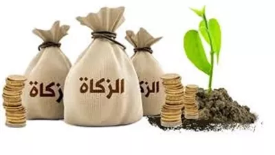 حكم زكاة الأسهم المدخرة