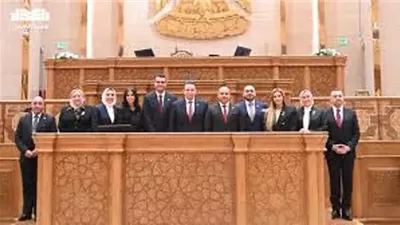 برلمانية العدل: أزمة التأمينات أكبر من الاختزال فى أرقام