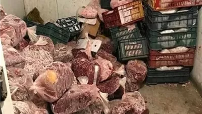 ضبط 170 كيلو لحوم ودواجن غير صالحة للاستهلاك الآدمي بالغربية