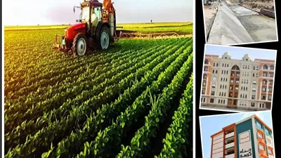 الزراعة والأمن الغذائى.. توسع أفقى واستصلاح ملايين الأفدنة