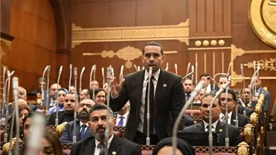 زكى: نجاح خطة التنمية يتطلب مؤشرات أداء واضحة وقابلة للقياس
