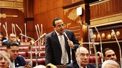 أحمد الفار:خطة التنمية الاقتصادية طموحة وتدعم مختلف قطاعات الدولة