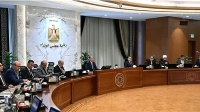 رئيس الوزراء: توريد 4.6 مليون طن قمح من المزارعين حتى الآن