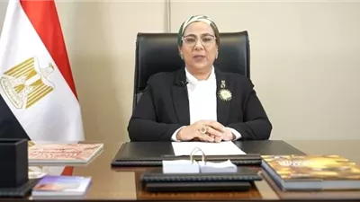 أمل عمار: قضايا المرأة أصبحت جزءًا أصيلًا من قضايا التنمية الشاملة