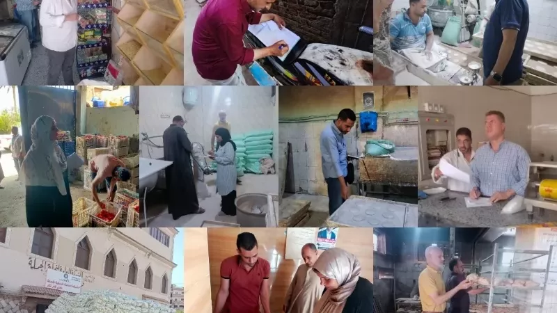 تموين القليوبية