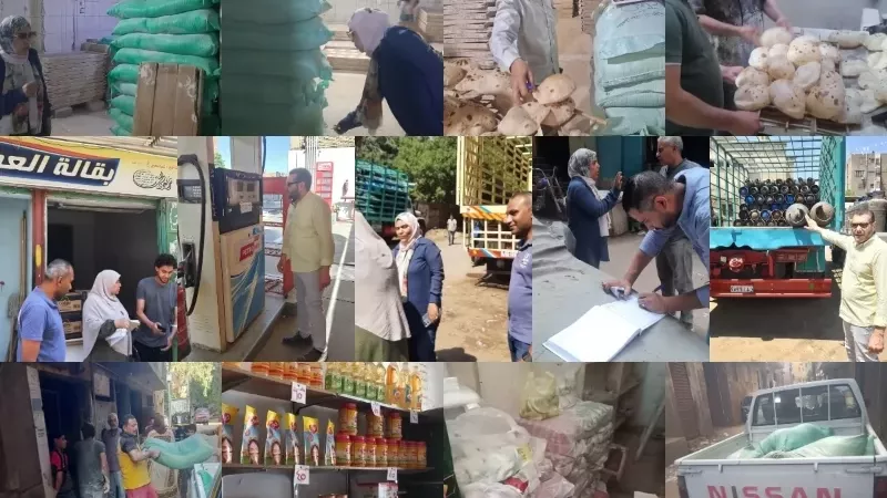 تموين القليوبية