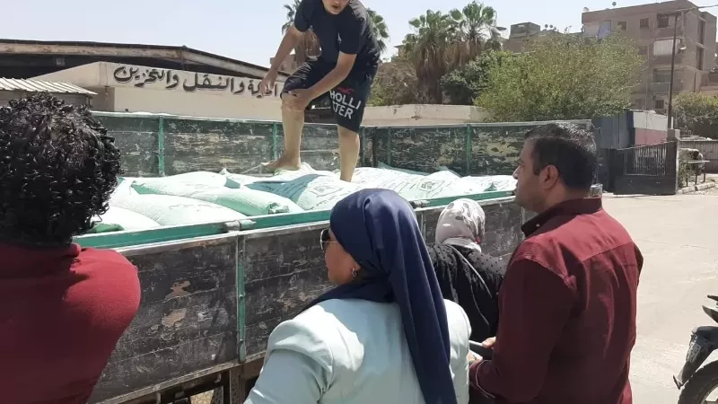 تموين القليوبية
