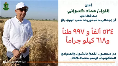 توريد 525 ألف طن من القمح بمراكز محافظة المنيا