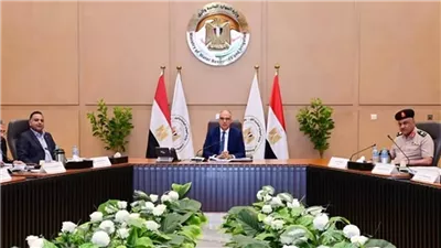 اللجنة العليا لتراخيص الشواطئ توافق على 4 مشروعات قومية جديدة