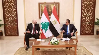 وزير الصحة يبحث التعاون مع نظيره اللبناني