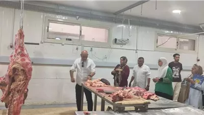 جهاز العبور الجديدة يضبط 440 كجم لحوم غير صالحة للاستهلاك الآدمي
