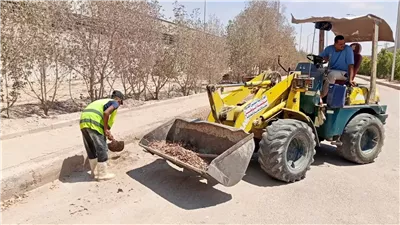رئيس جهاز السويس الجديدة تتابع حملات النظافة بالحي الصناعي