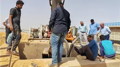 خطوة هامة من جهاز بدر عن أهم مشروع يساهم فى زراعة وتجميل المدينة.. صور