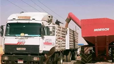 محافظ أسوان يتابع إنتظام توريد القمح المحلى الى الصوامع