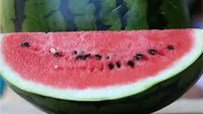 هل يساعد البطيخ في حماية القلب؟ دراسة تجيب