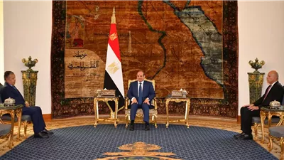 الرئيس السيسي: تزايد بؤر الصراع وتصاعد انتهاكات القانون الدولي يفرضان تبعات جسيمة على الأمن العربي