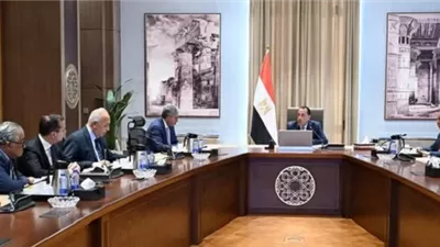 مدبولي يبحث مع ممثلي السياحة والطيران خطة زيادة الحركة السياحية