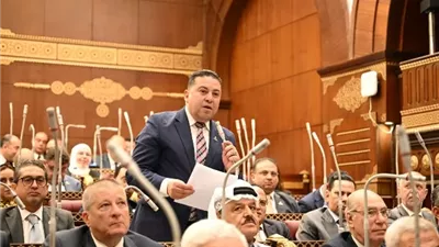نائب الشعب الجمهورى بالشيوخ يدعو لتشريعات تدعم التصنيع المحلى