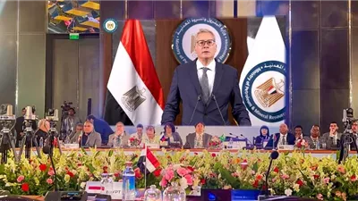 وزير البترول يشارك في اجتماع وزراء الطاقة بدول البريكس
