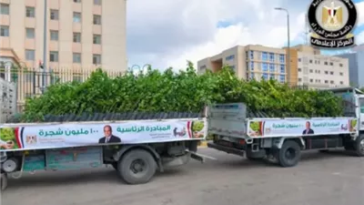 المركز الإعلامي لمجلس الوزراء: زراعة أكثر من 200 ألف شجرة