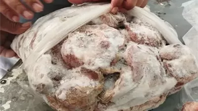 ضبط ١٠ أطنان مصنعات دجاج فاسدة بالإسماعيلية