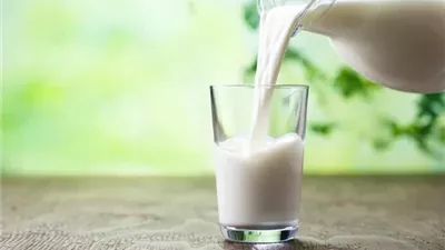 هل يسبب الإفراط في شرب الحليب هشاشة العظام؟.. طبيب يجيب