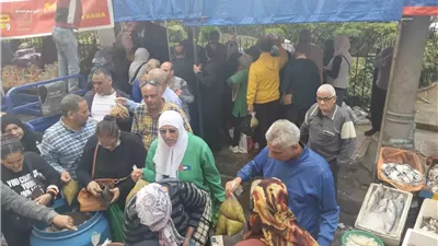 تطوير شارع خالد بن الوليد واجهة سياحية مميزة بالأسكندرية