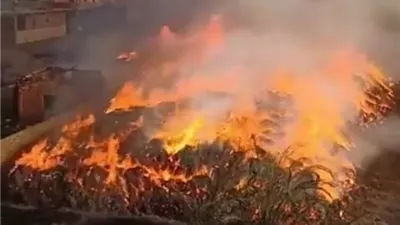 إندلاع حريق هائل فى شونة كتان بالغربية