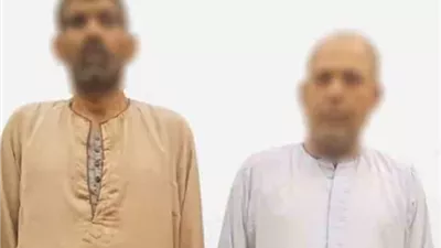 ضبط صاحب ورشة سيارات وشقيقه لاتهامهما بتعذيب طفل بالمنوفية