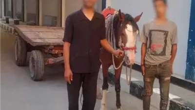ضبط عاطلين ألقيا مخلفات بعربة كارو في المرج