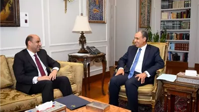 وزيرا الخارجية والعمل يبحثان تعزيز فرص تشغيل العمالة المصرية بالخارج
