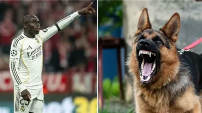 بسبب عضة كلب..لاعب ريال مدريد مهدد بالحبس
